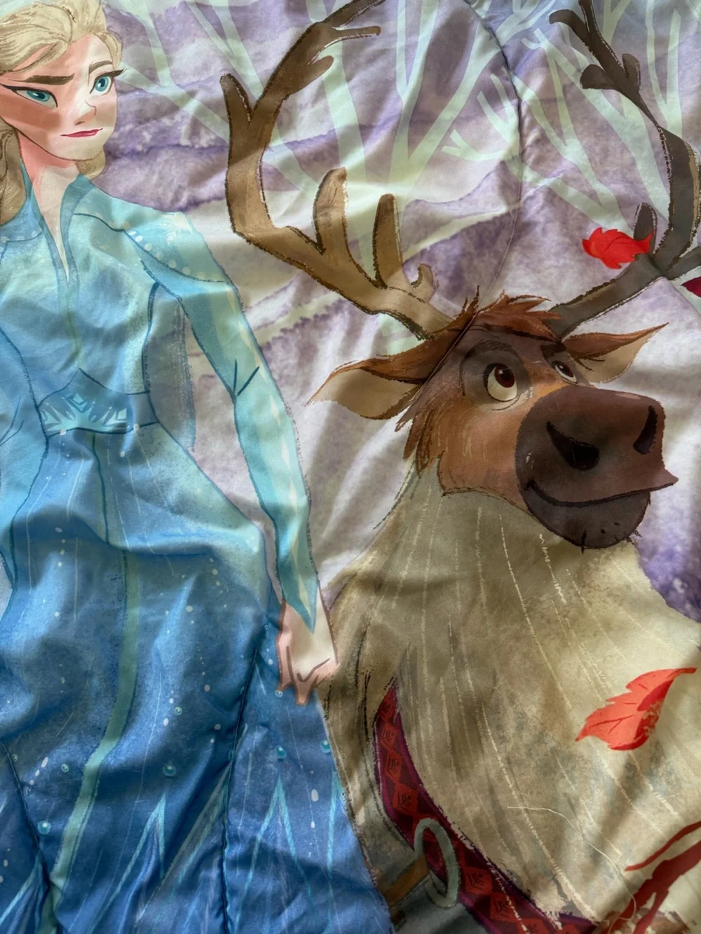 Disney Frozen 2 